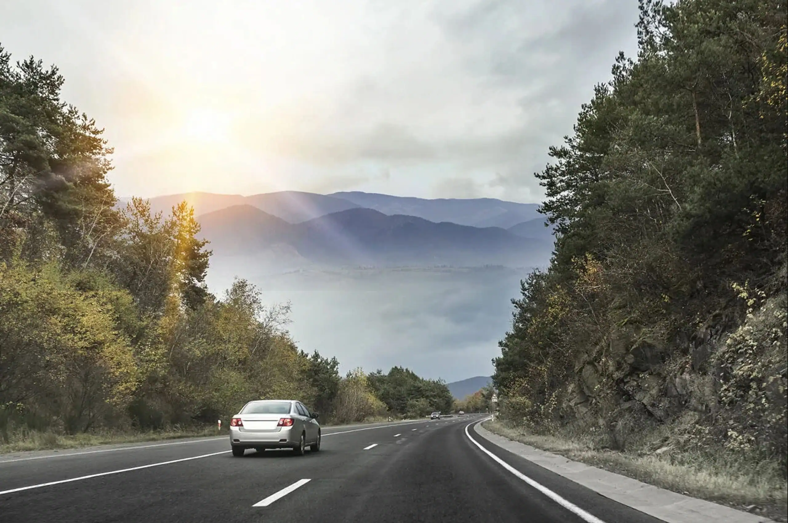 Car Insurance Florida