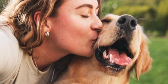 Pet Insurance Florida